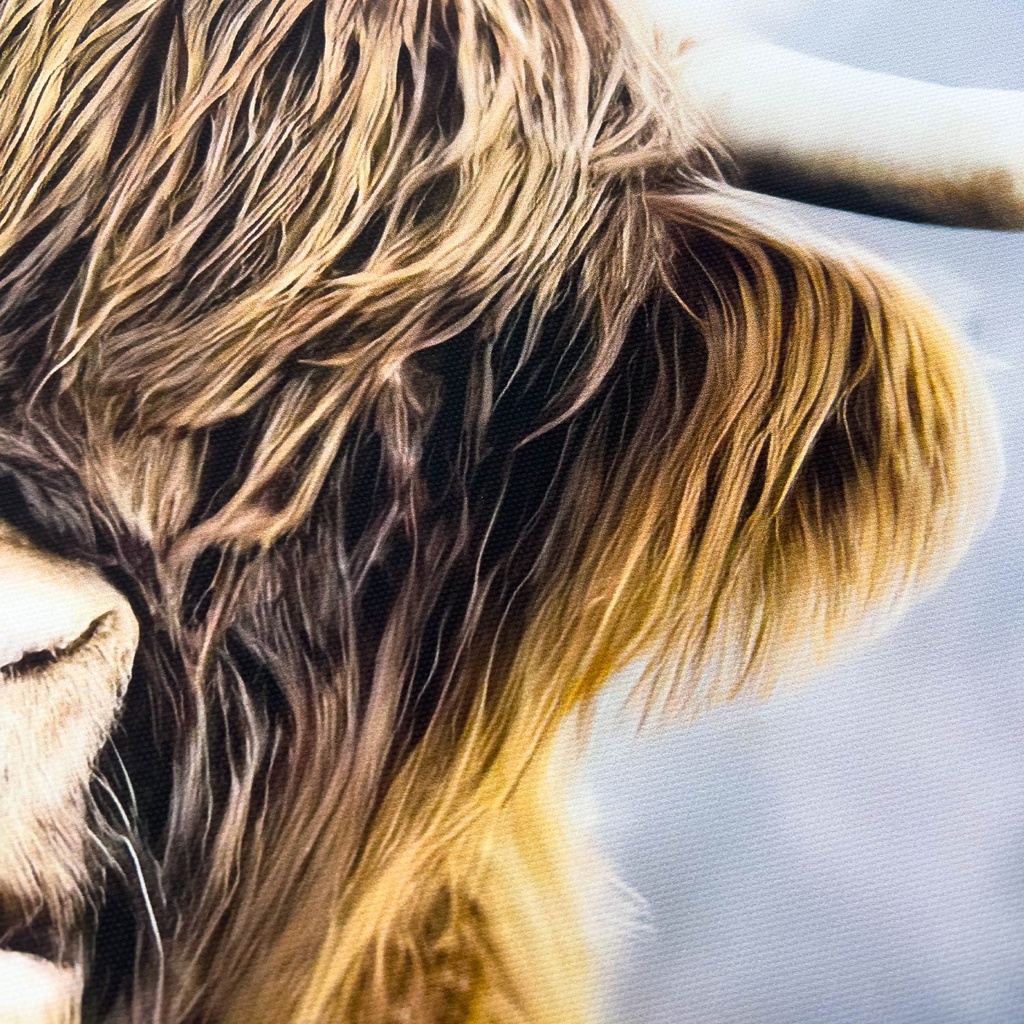 Canvas buey 70x100cm