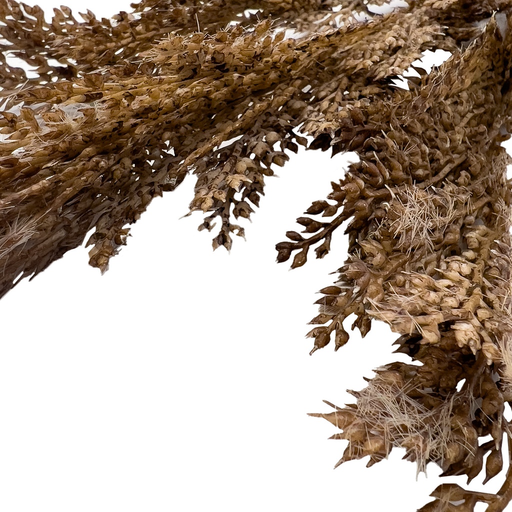 Pasto artificial 72,5cm