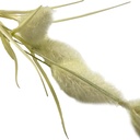 Pasto artificial blanco 74cm