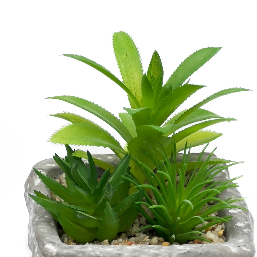 Suculenta mix base piedra 13,2cm