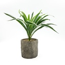 Planta artificial 36cm