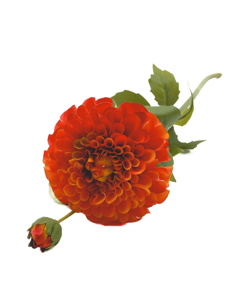 Dalia artificial naranja