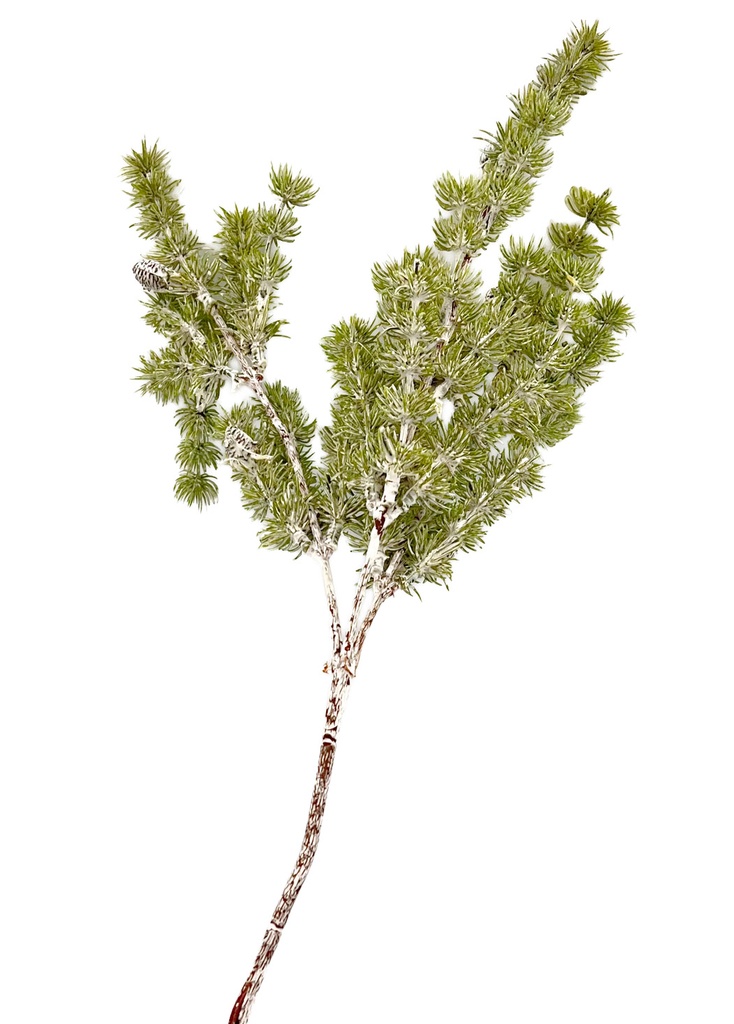 Rama Pino artificial