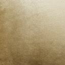 Cojín velvet arena 30x50cm