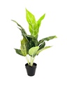 Planta artificial Nieve Tropical 55cm