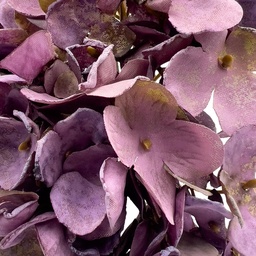 [230030236] Flor hortensia artificial burdeo 34cm