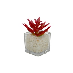 [230033252] Suculenta rosada base vidrio 9cm