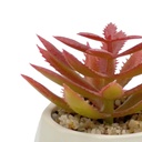 Suculenta rosada base prisma 8,5cm