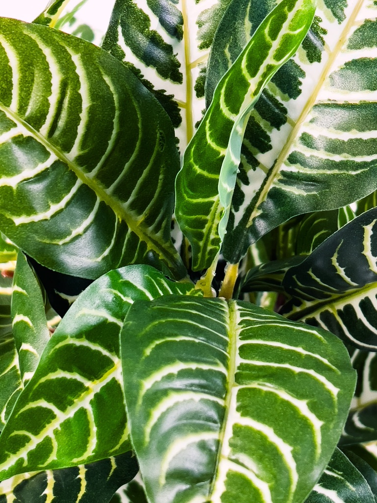 Planta artificial Hojas de hierba 54cm
