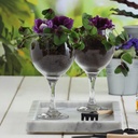 Copon 645ml set de 6