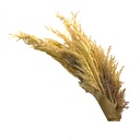 Pasto artificial blanco 103cm