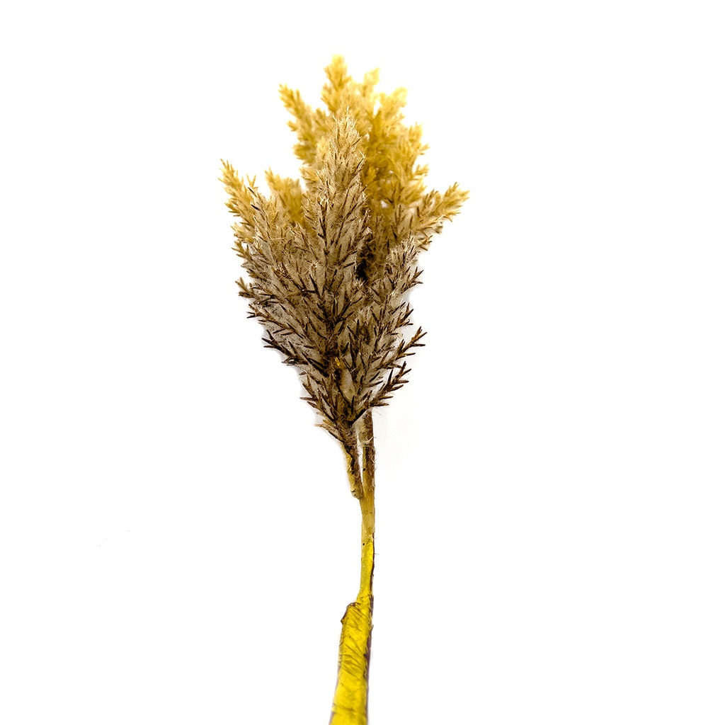 Pasto artificial blanco 82cm