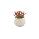 Suculenta rosada base prisma 8,5cm