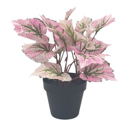 [230033096] Planta artificial Singonio rosa 30cm