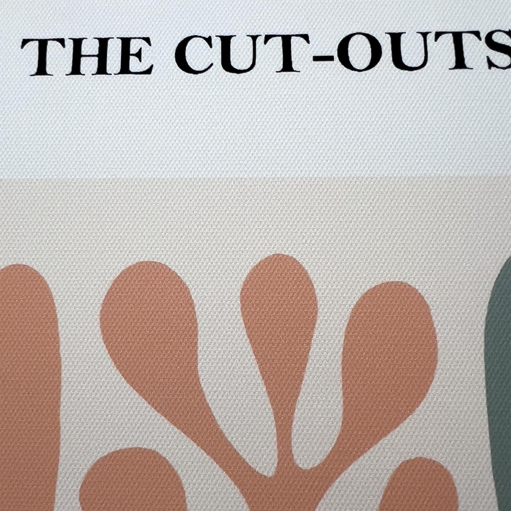 Canvas Matisse 3 40x60cm