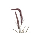 Pasto artificial burdeo 85cm