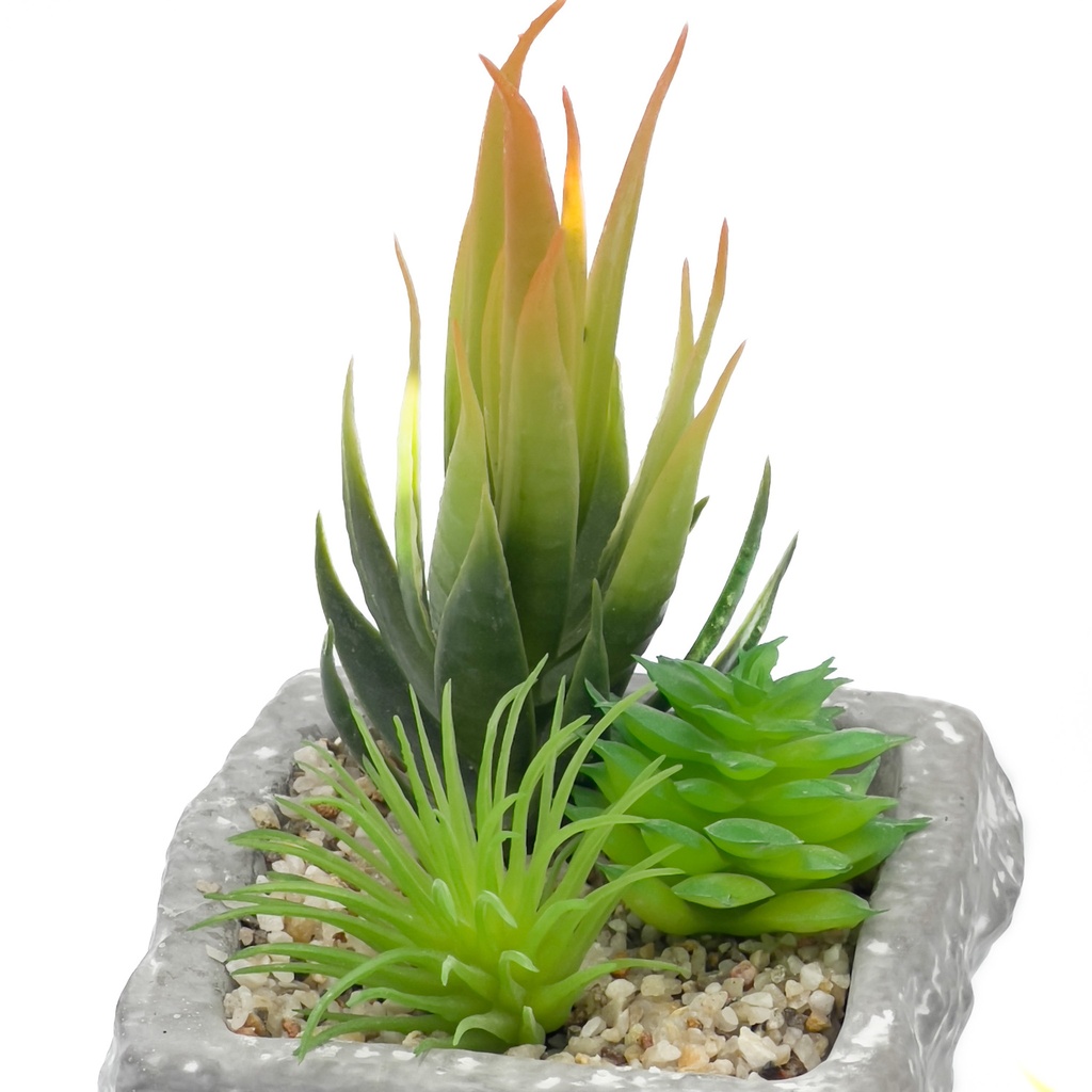 Suculenta mix base piedra 13,2cm