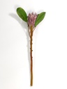 Protea artificial M morada