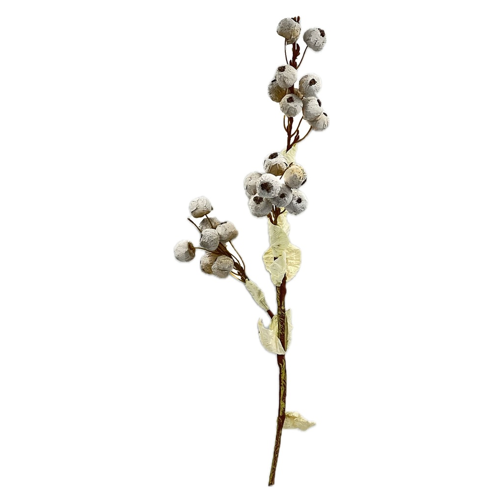 Rama flor de algodón