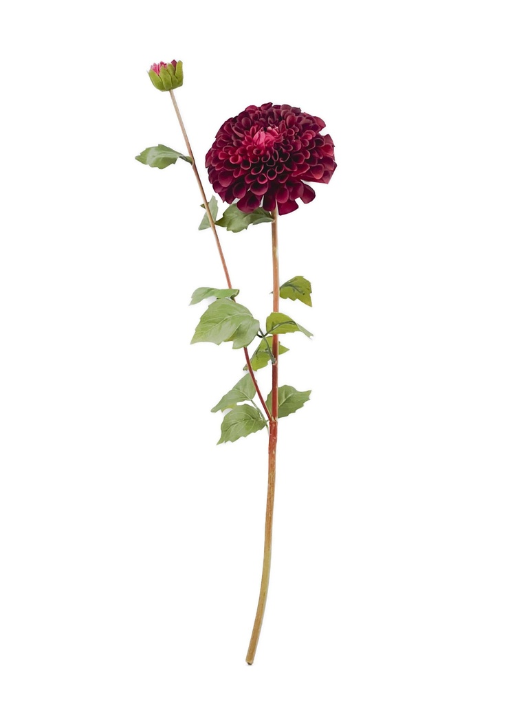 Dalia artificial morada
