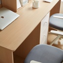 Escritorio doble Raffles