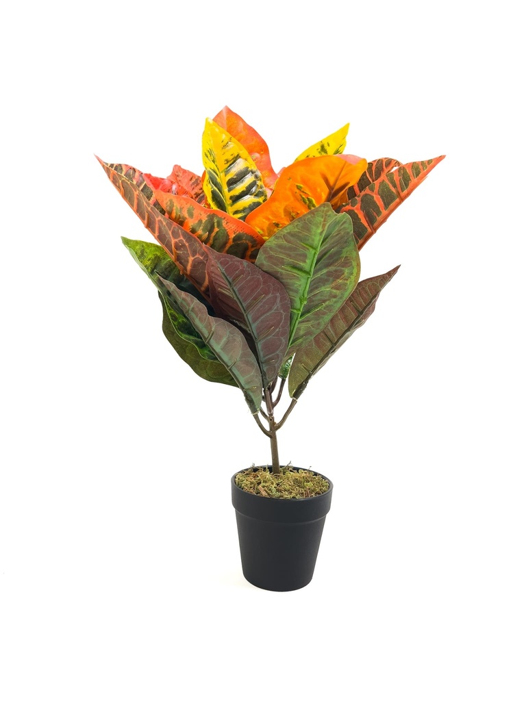 Planta artificial Crotón variegado 35cm