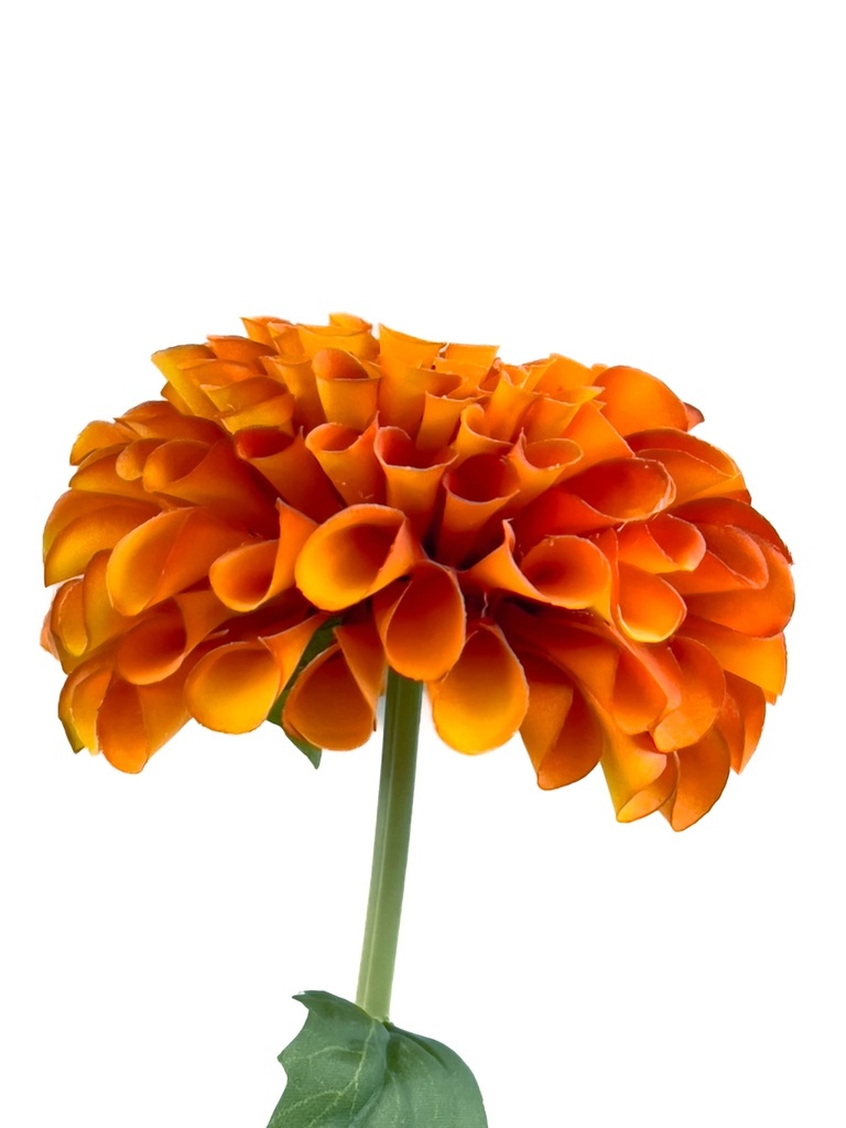 Dalia artificial naranja