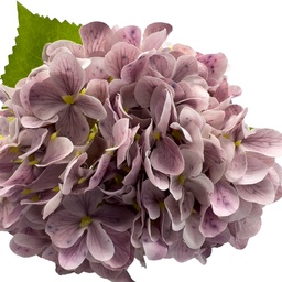 [230030214] Flor hortensia artificial morado 67cm