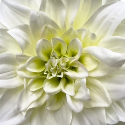 [230030225] Flor artificial blanca 62cm