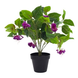 [230033095] Planta Ramo Mora 38cm