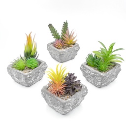 [230033255] Suculenta mix base piedra 13,2cm