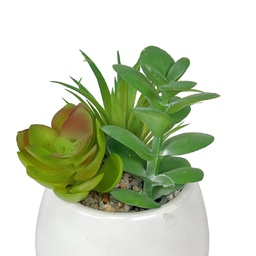 [230033256] Suculenta mix base blanca 12cm