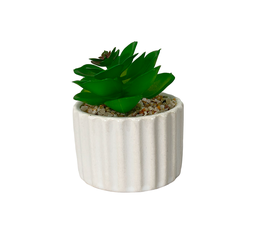 [230033257] Suculenta mix base prisma 12,5cm